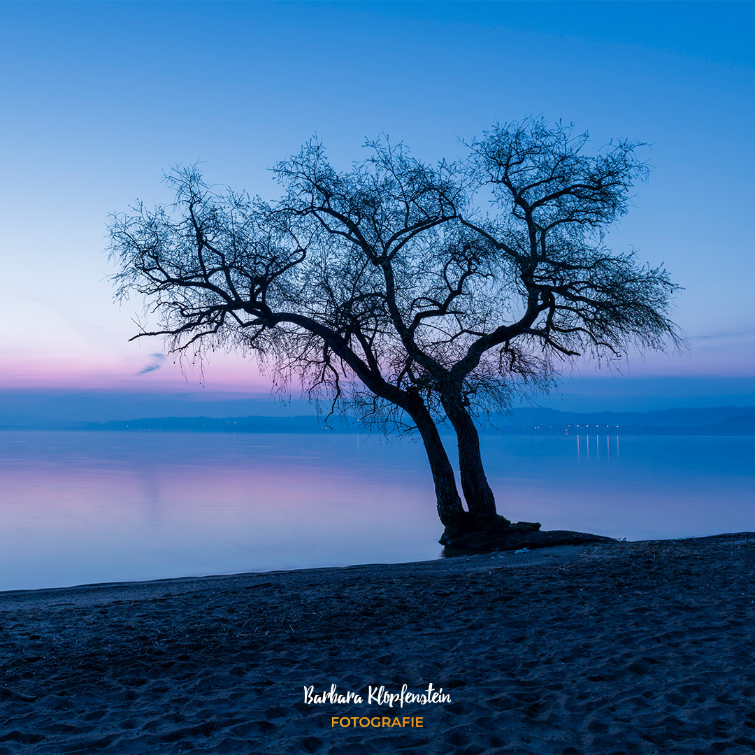 Barbara Klopfenstein Fotografie