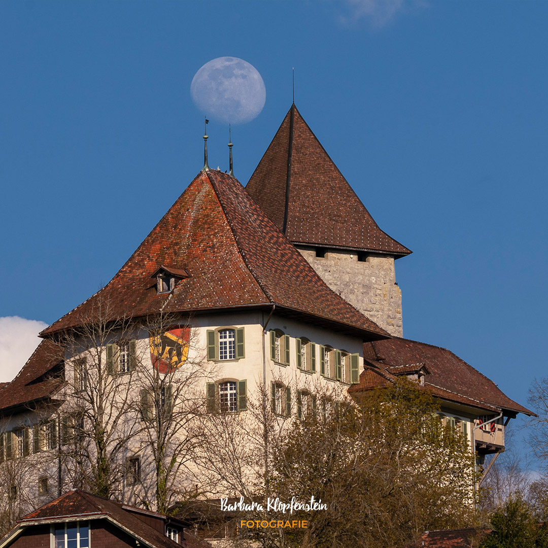 Barbara Klopfenstein Fotografie